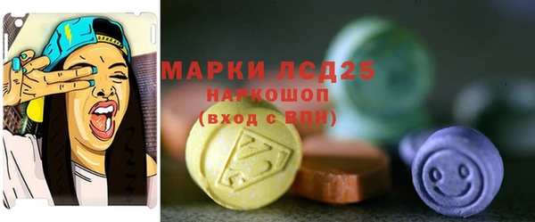 шишки Няндома