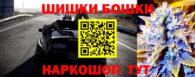 apvp Тулун